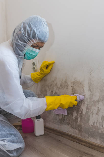 Best Biohazard Mold Removal  in Mona, UT