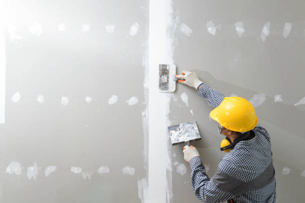 Best Basement Mold Removal  in Mona, UT