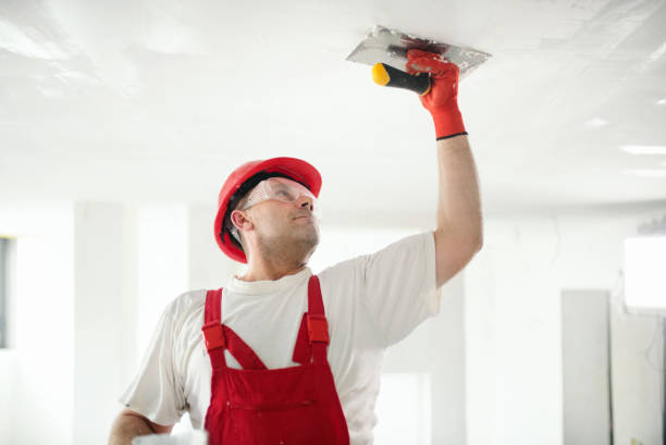 Trusted Mona, UT Mold Removal Experts