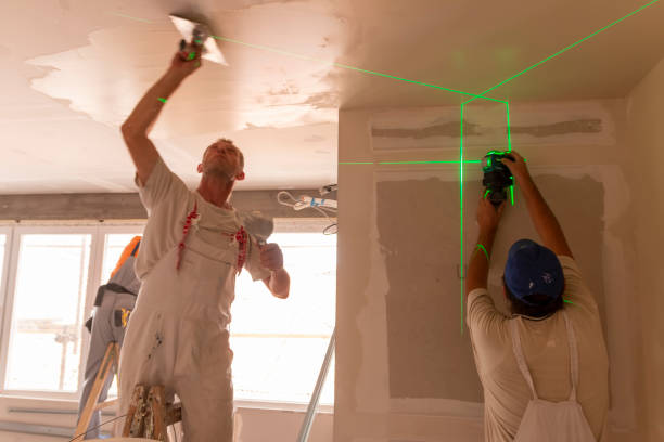 Best Mold Documentation for Insurance Claims  in Mona, UT