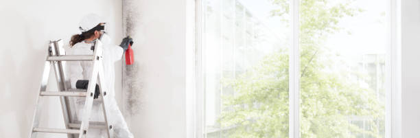 Best Mold Odor Removal Services  in Mona, UT