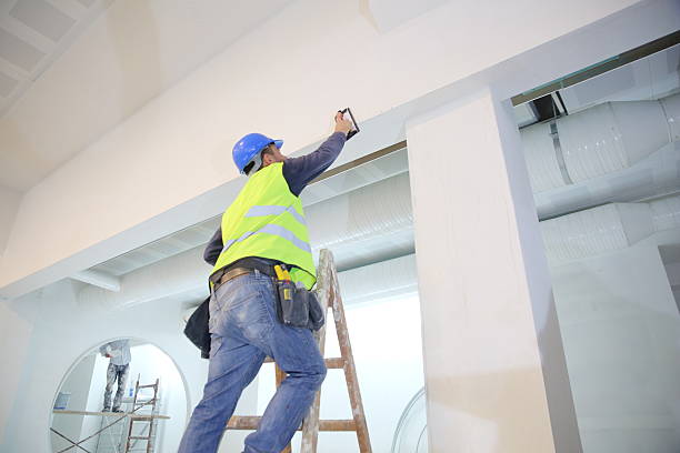 Best Water Damage & Mold Remediation  in Mona, UT